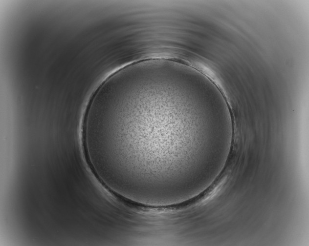X0000088690803200706071518