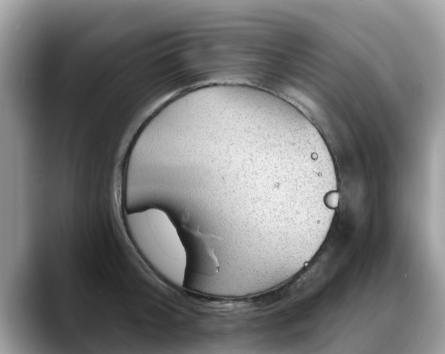 X0000088690804200706071518