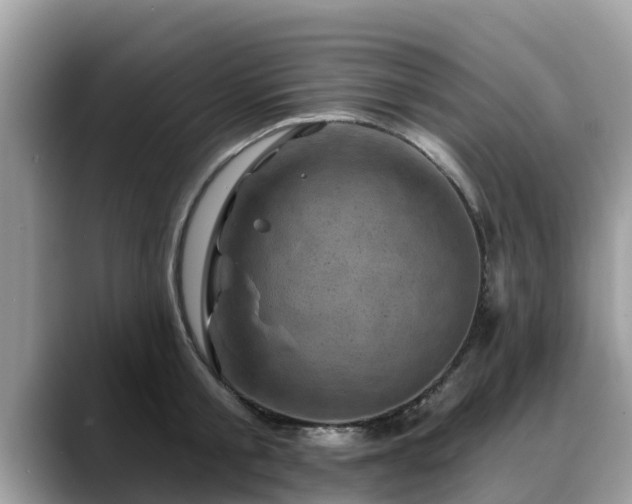 X0000088690805200706071518
