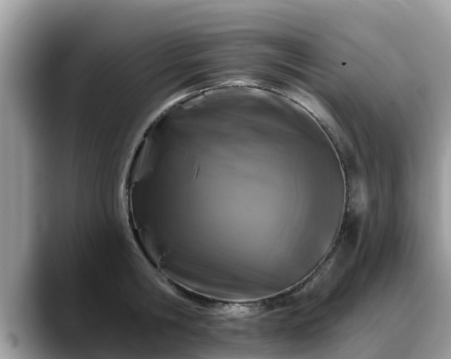 X0000088690806200706071518