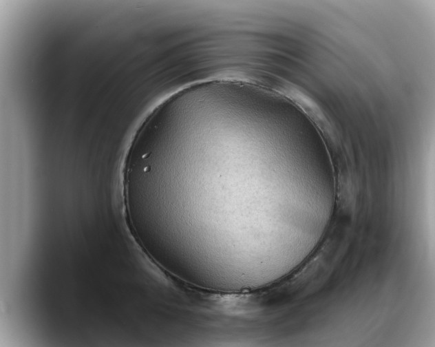 X0000088690808200706071518