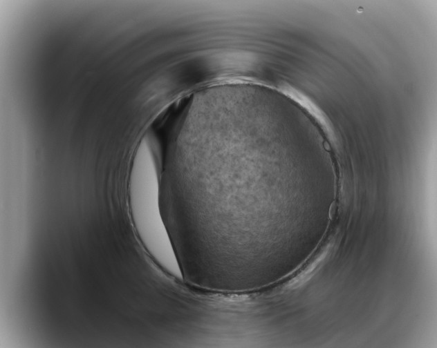 X0000088690809200706071518