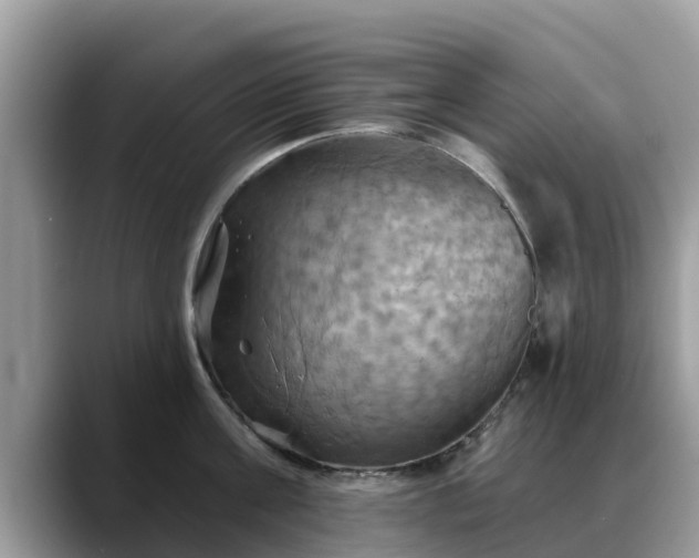 X0000088690811200706071518