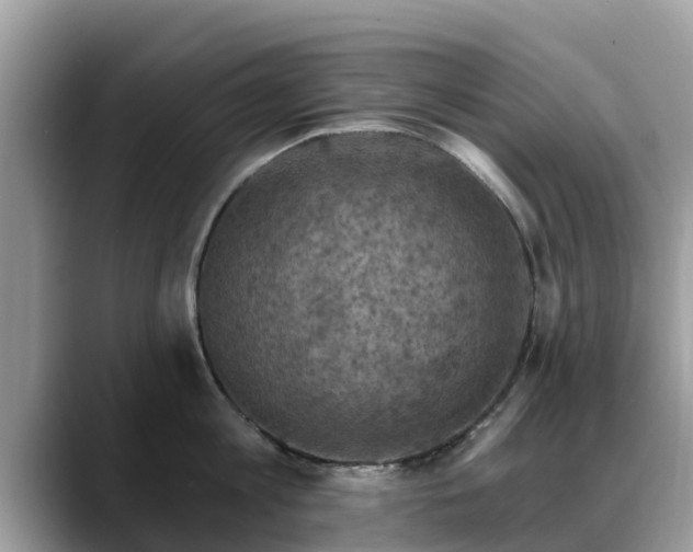 X0000088690813200706071518