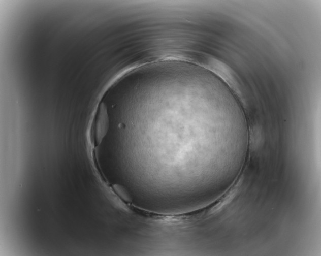 X0000088690814200706071518