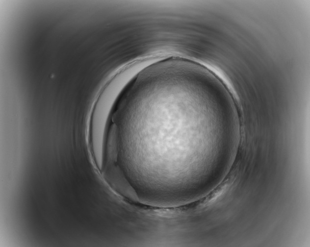 X0000088690815200706071518