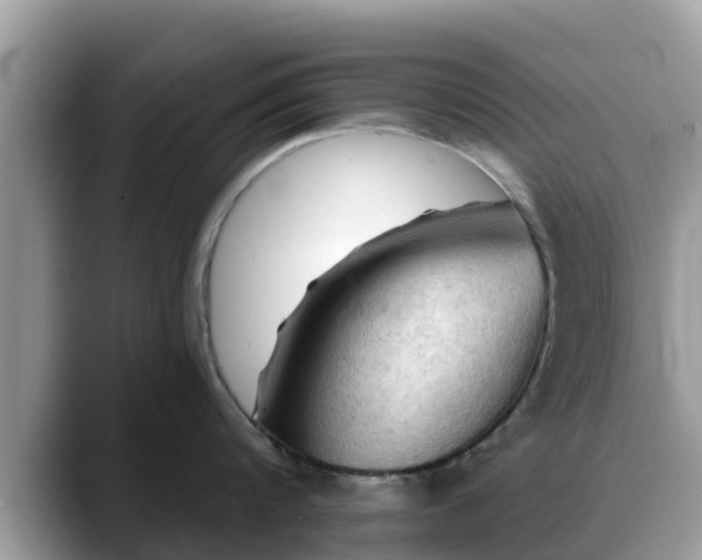 X0000088690816200706071518