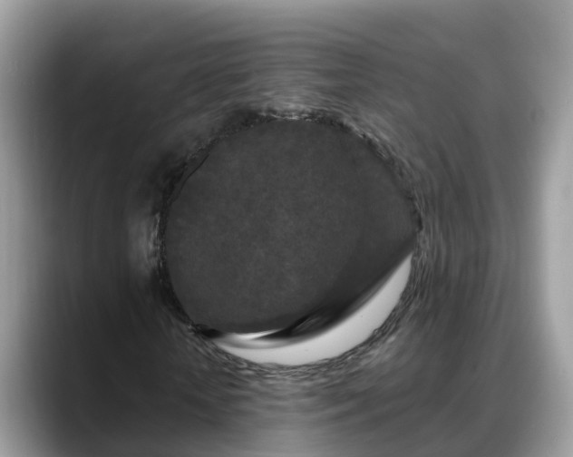 X0000088690818200706071518