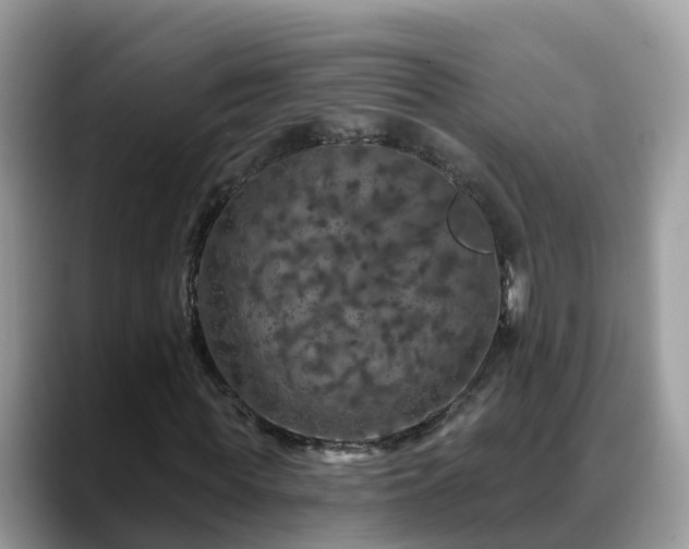 X0000088690819200706071518