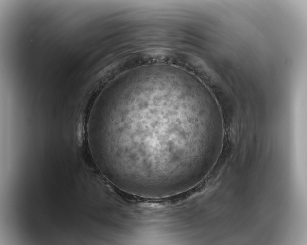 X0000088690821200706071518