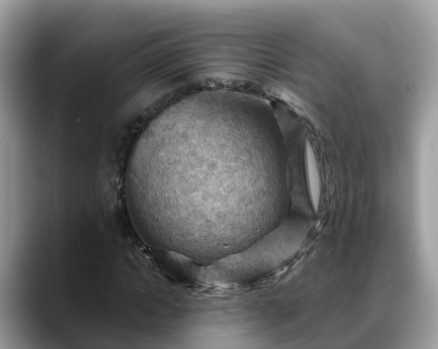 X0000088690822200706071518