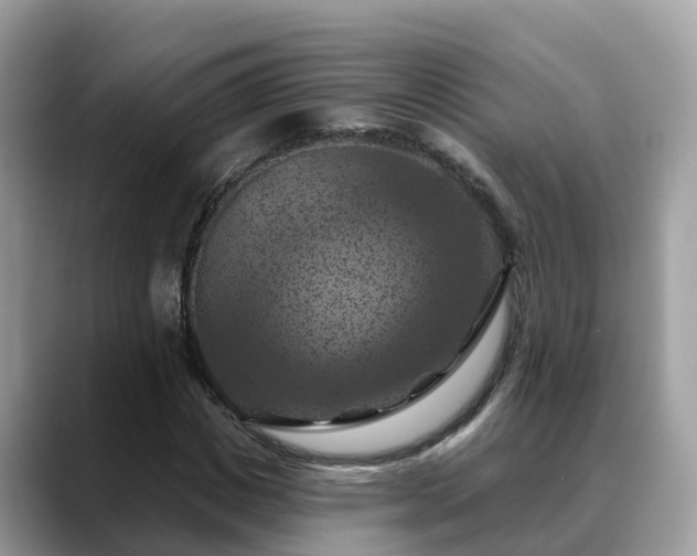 X0000088690825200706071518