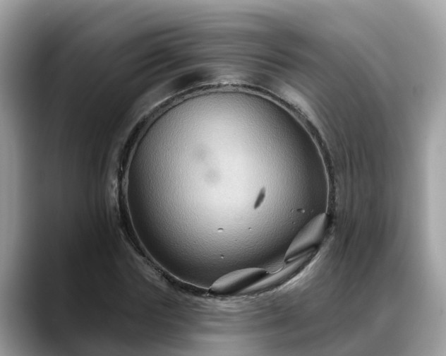 X0000088690827200706071518