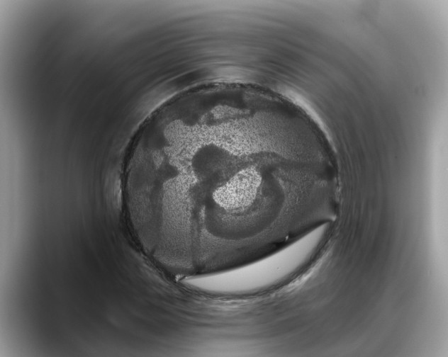 X0000088690829200706071518