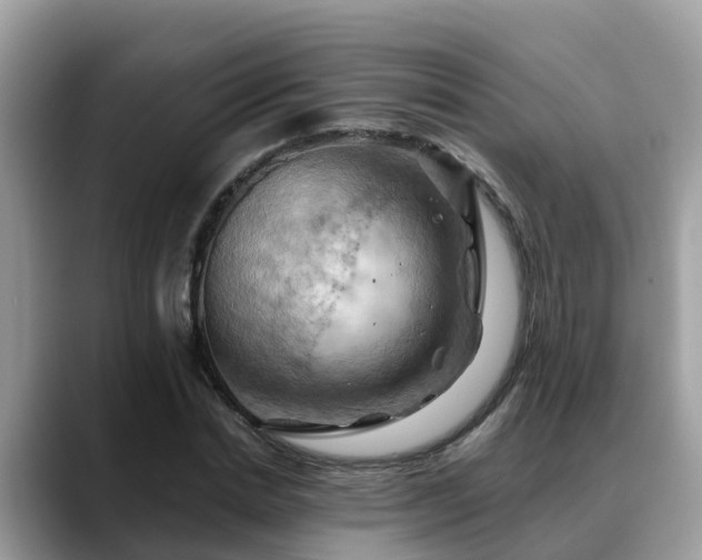 X0000088690830200706071518