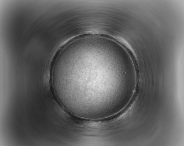 X0000088690831200706071518