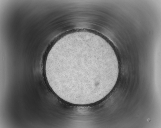 X0000088690832200706071518