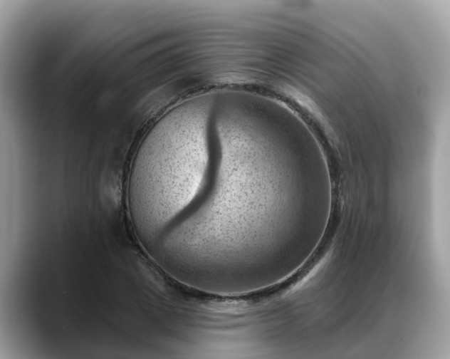 X0000088690833200706071518