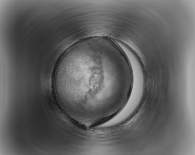 X0000088690834200706071518