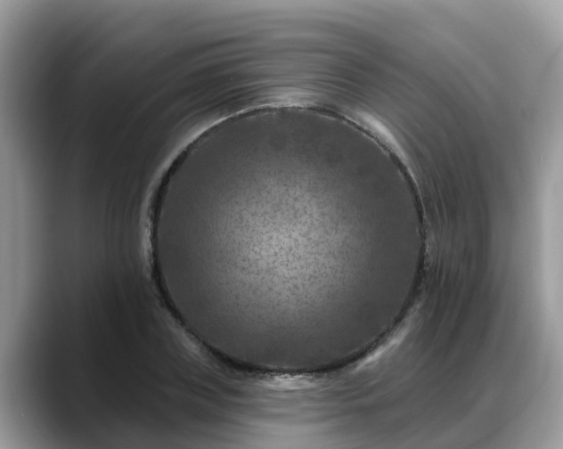 X0000088690835200706071518
