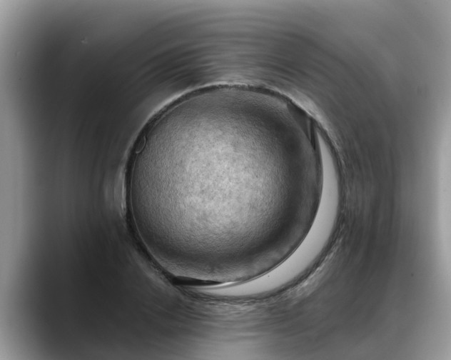 X0000088690838200706071518