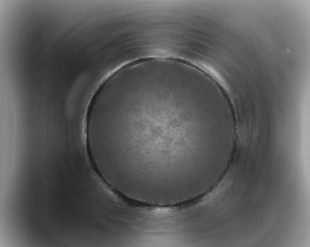 X0000088690839200706071518