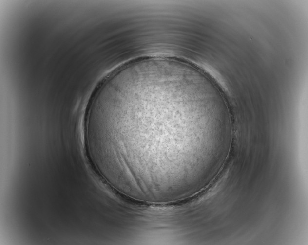 X0000088690840200706071518
