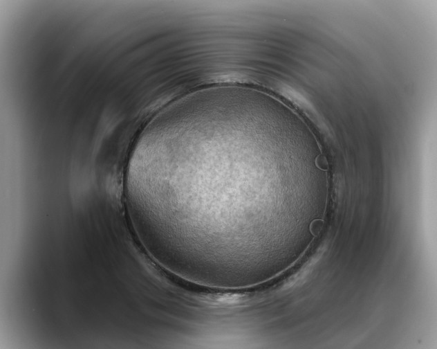 X0000088690841200706071518