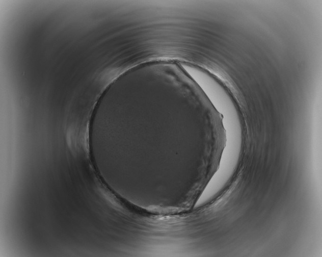 X0000088690842200706071518