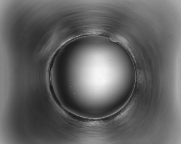 X0000088690843200706071518