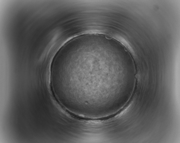 X0000088690844200706071518