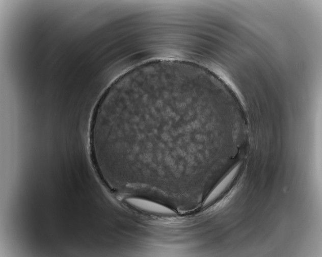 X0000088690845200706071518