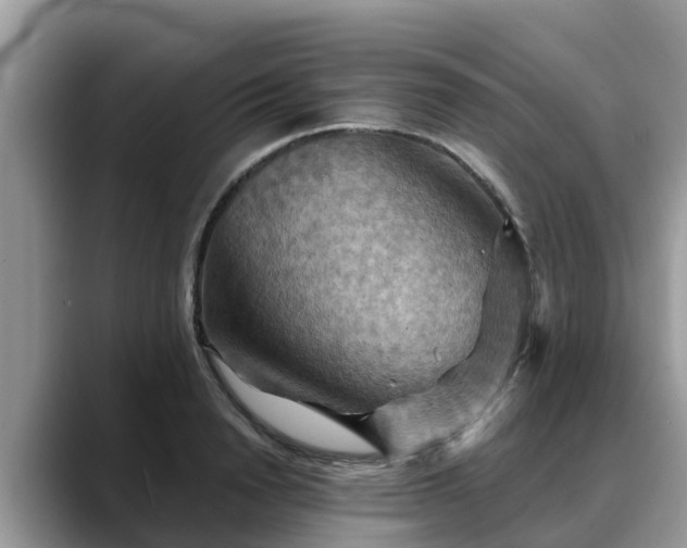 X0000088690846200706071518