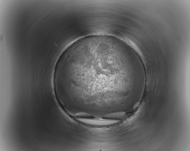 X0000088690847200706071518