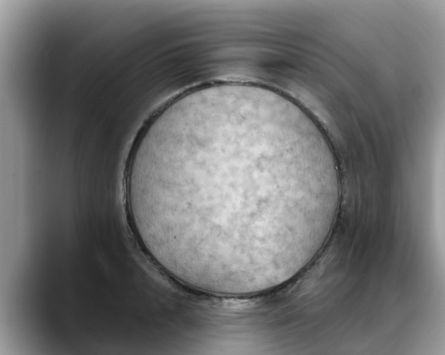 X0000088690848200706071518