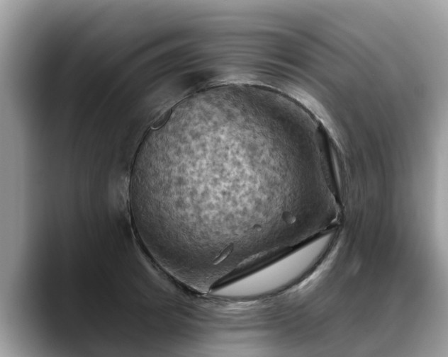 X0000088690849200706071518
