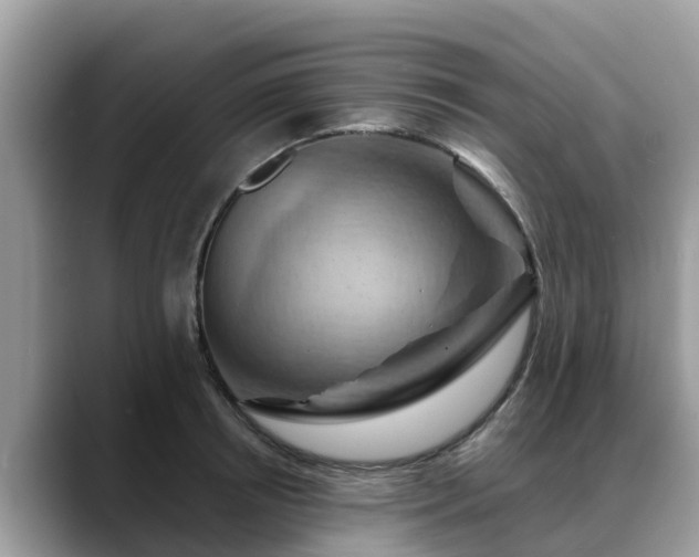 X0000088690850200706071518