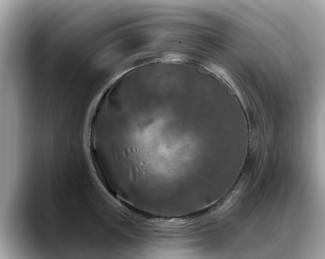 X0000088690851200706071518
