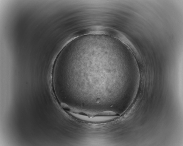 X0000088690852200706071518