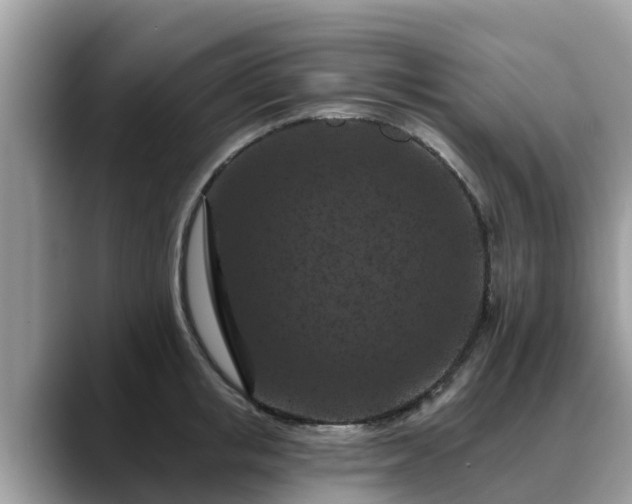 X0000088690853200706071518