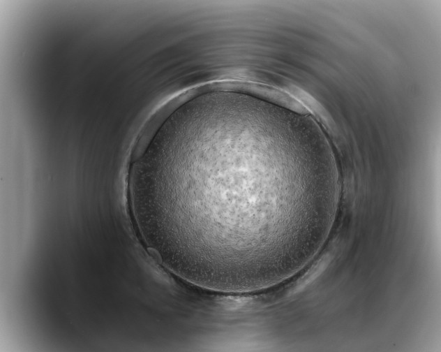 X0000088690854200706071518