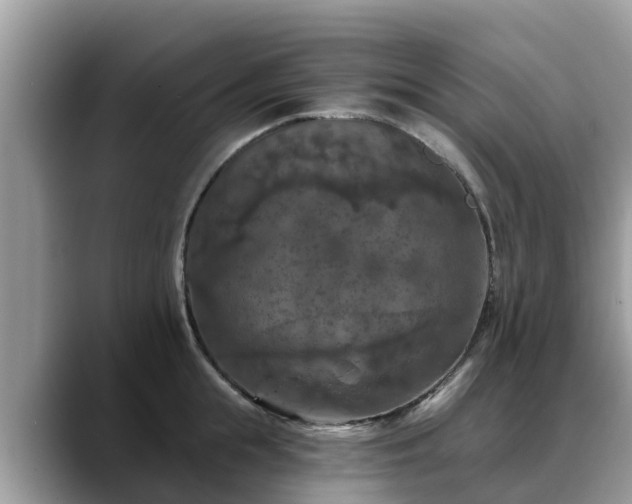 X0000088690855200706071518