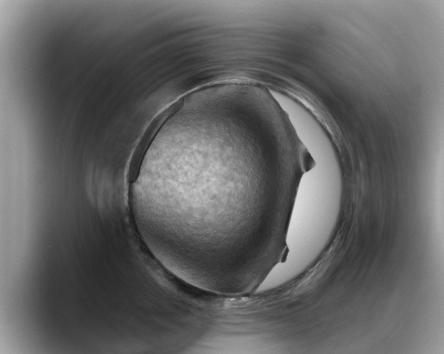 X0000088690858200706071518
