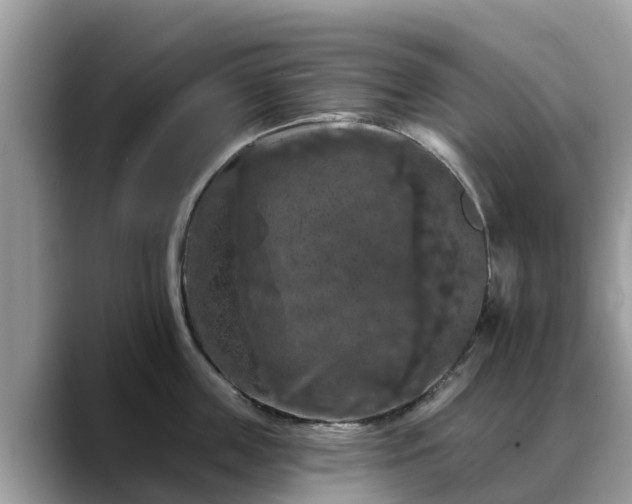 X0000088690859200706071518