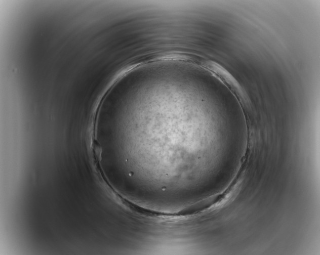 X0000088690860200706071518