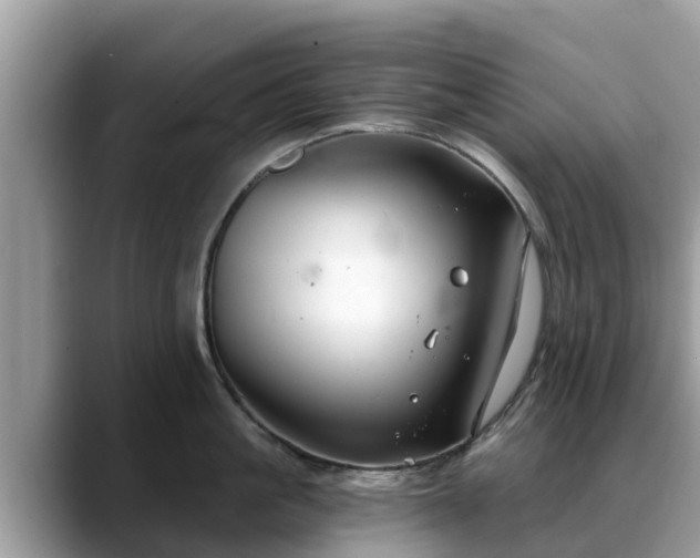 X0000088690861200706071518