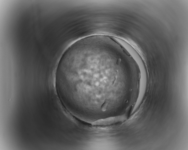 X0000088690862200706071518