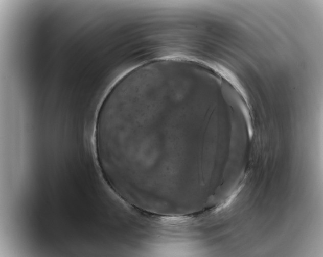 X0000088690863200706071518