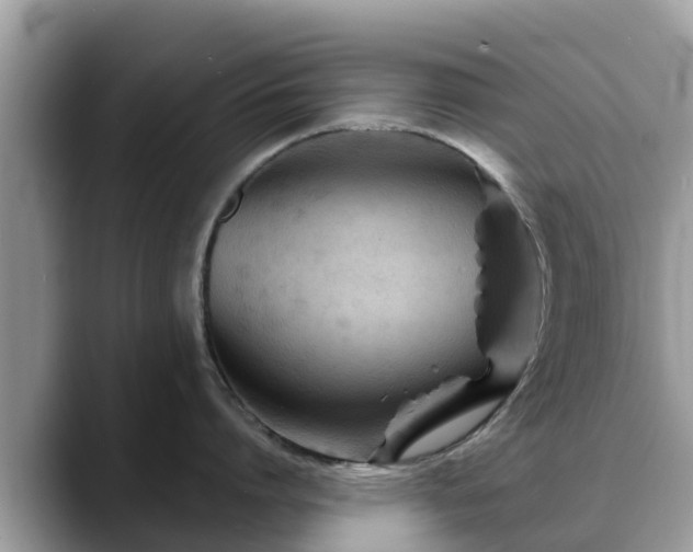 X0000088690864200706071518