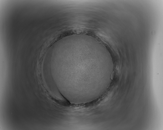 X0000088690865200706071518